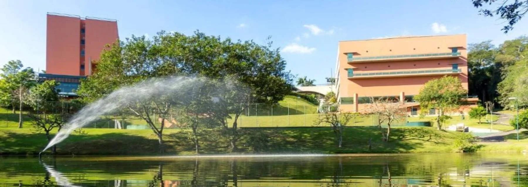 Almenat Embu das Artes Tapestry Collection by Hilton
