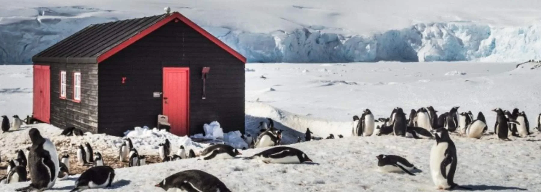 Antártica - Basecamp