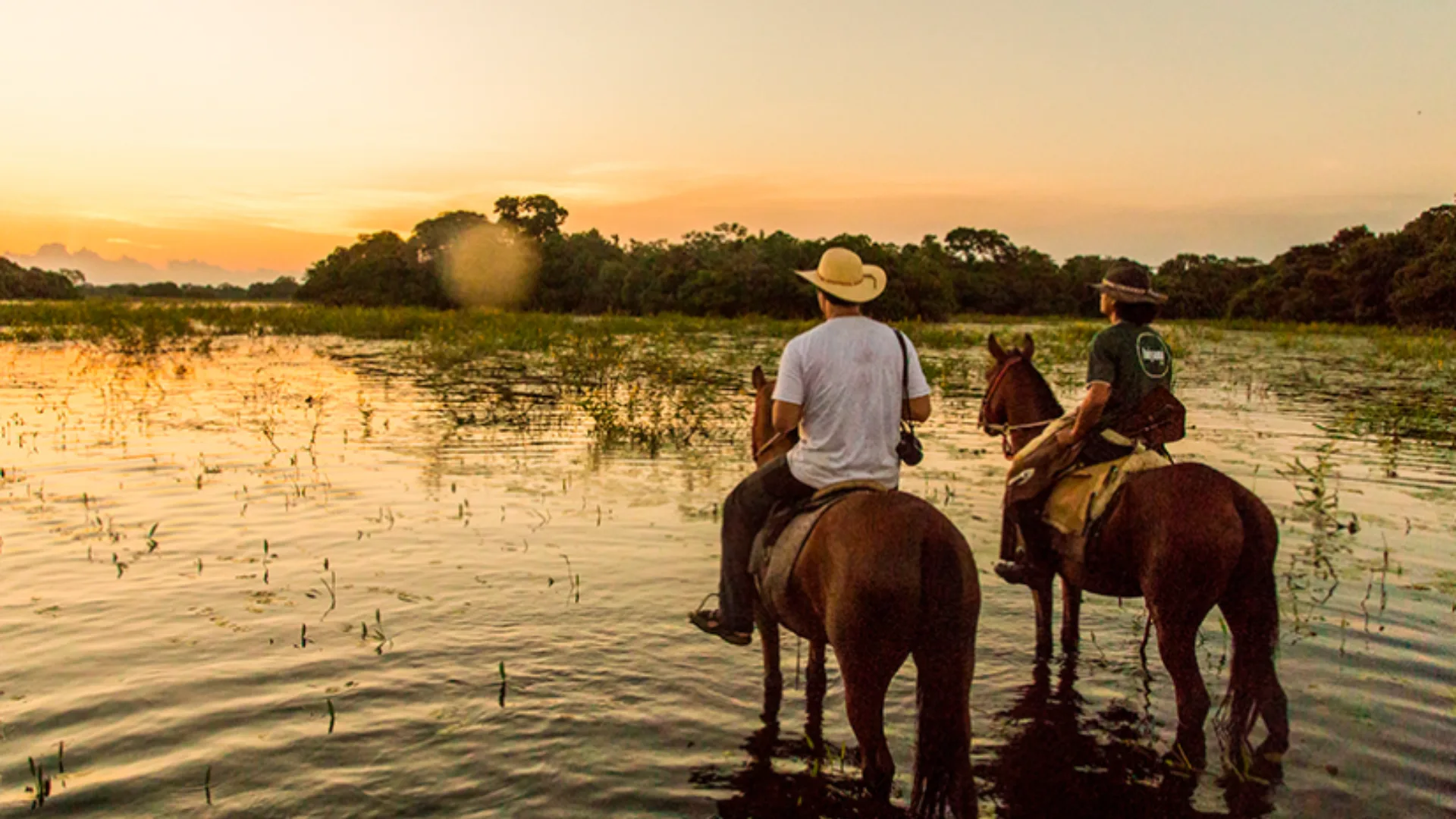 Bonito e Pantanal Sul