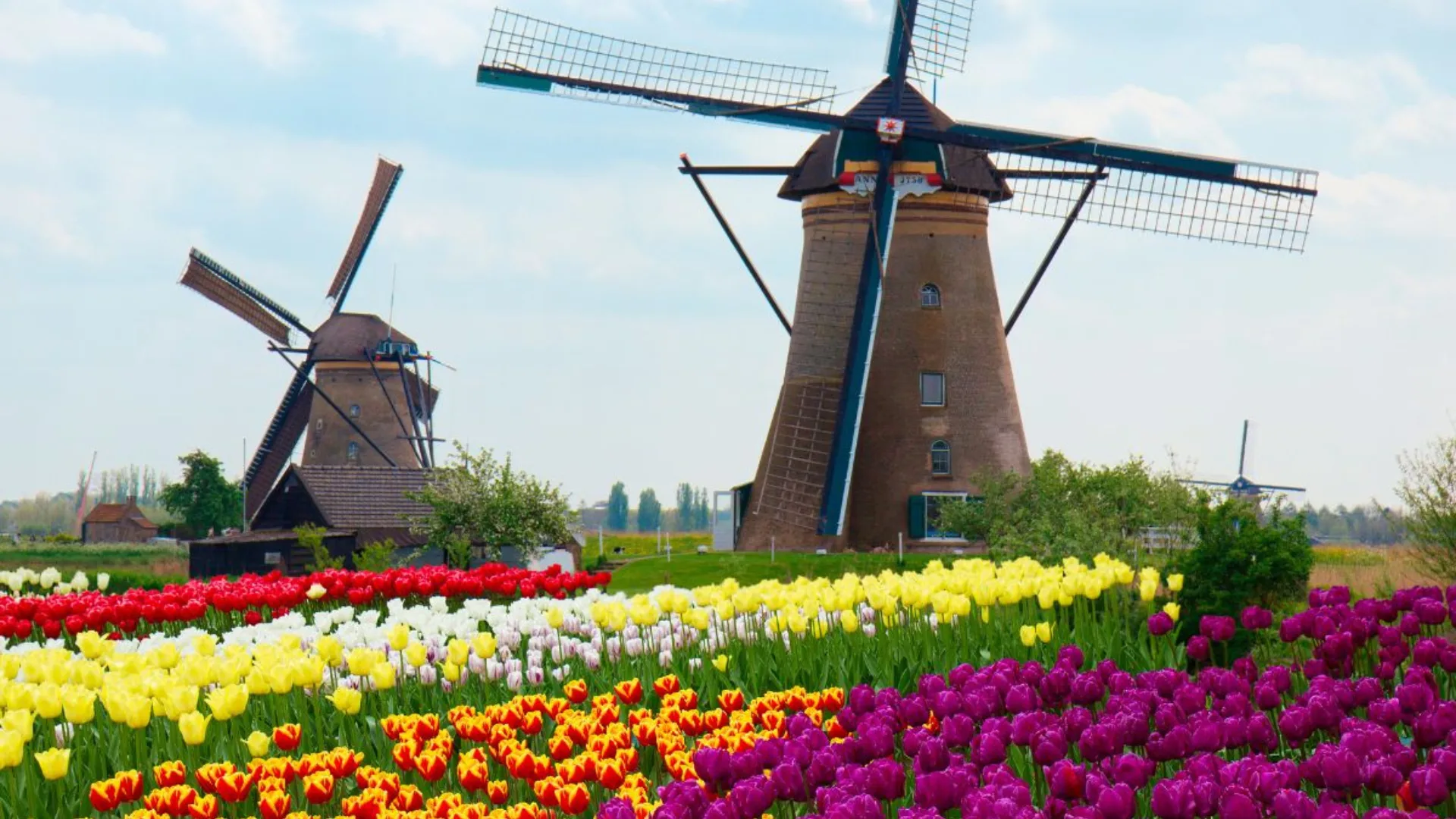 Encantos da Holanda & Itália