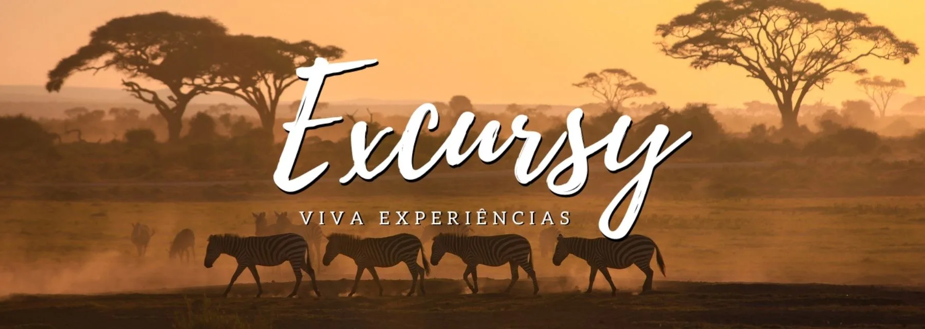 Excursy - através de nosso parceiro do grupo