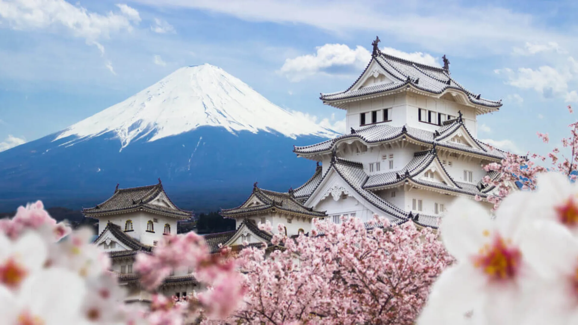 Japão dos Samurais: Uma Jornada pela Honra e Tradição
