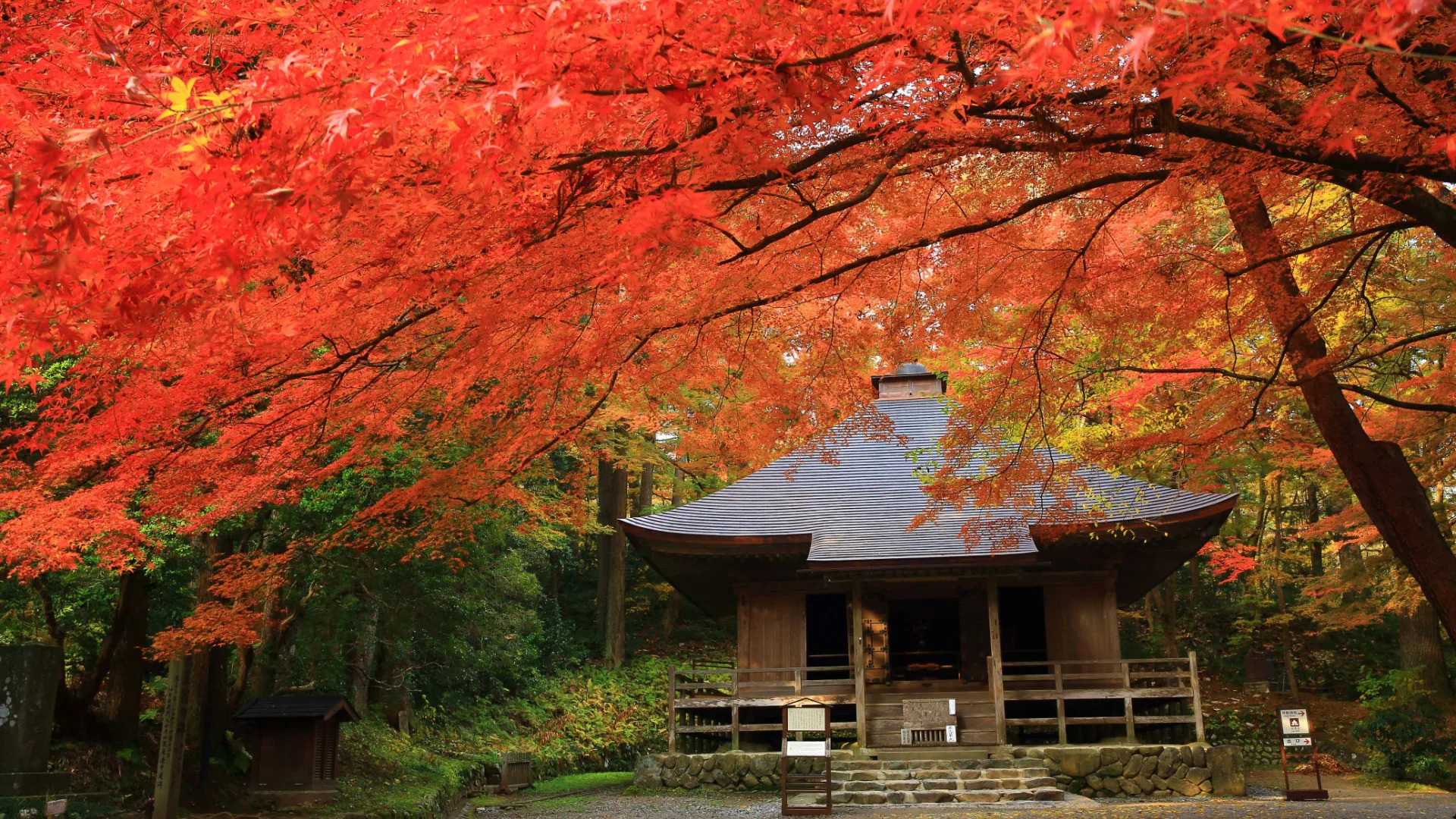 Japão Espiritual: A Jornada Sagrada pelo Caminho de Kumano