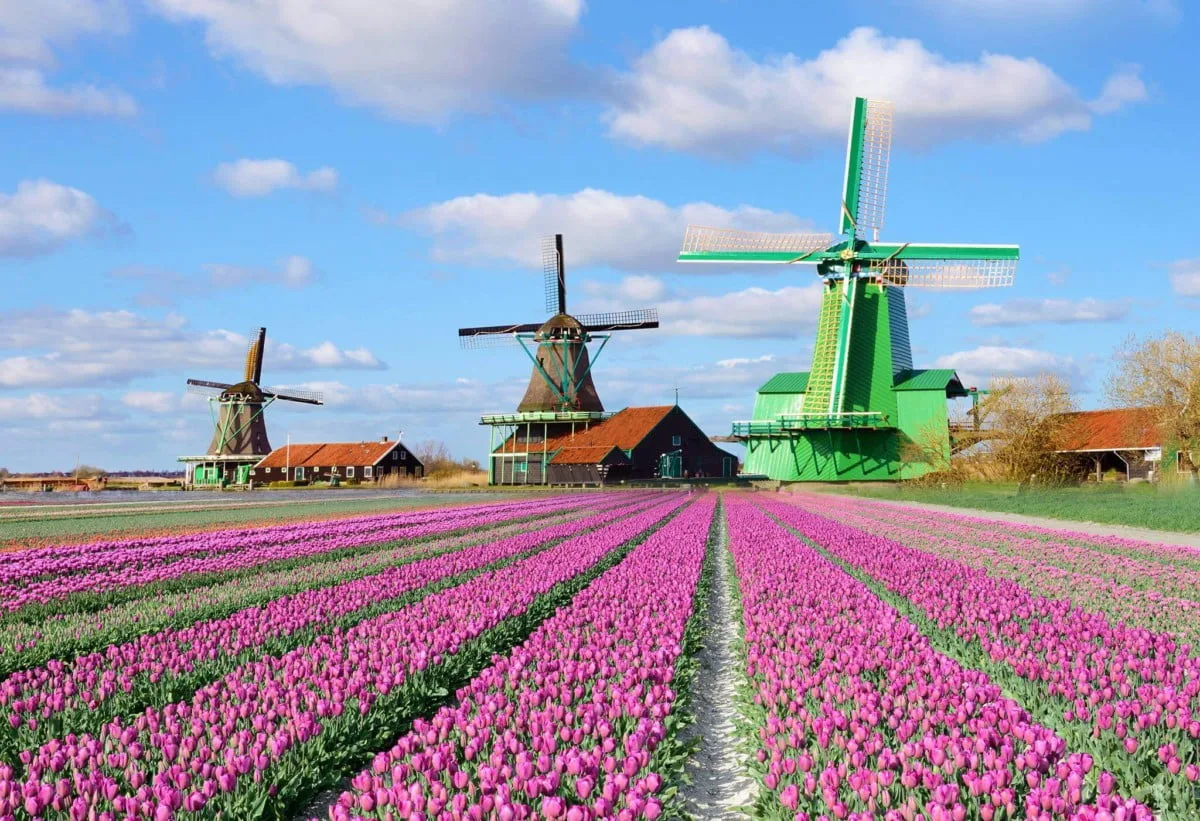 RENO: CHARME URBANO E MOINHOS DA HOLANDA