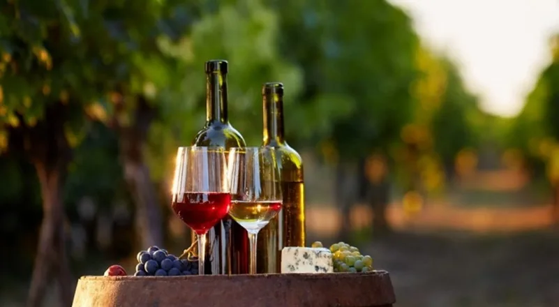 Santiago e Vinhos